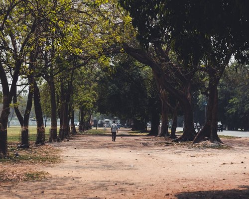 Person walking comfortably on an Indian street or park